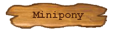 Minipony